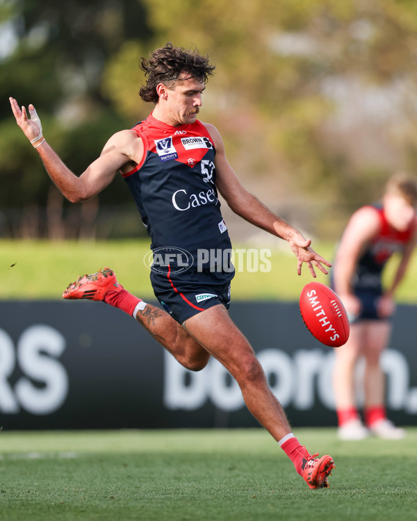 VFL 2025 Round 17 - Casey Demons v Carlton - A-60674188