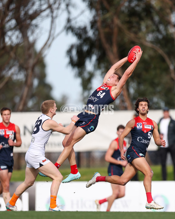 VFL 2025 Round 17 - Casey Demons v Carlton - A-60674189