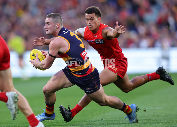 AFL 2025 Round 19 - Adelaide v Gold Coast - A-60674199