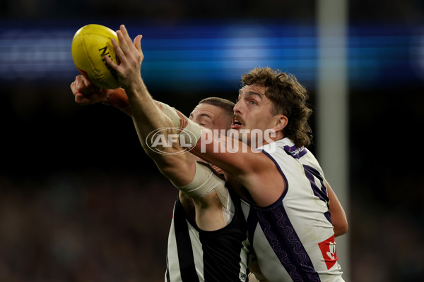 AFL 2025 Round 19 - Collingwood v Fremantle - A-60674208