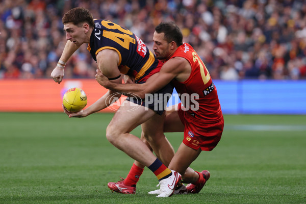 AFL 2025 Round 19 - Adelaide v Gold Coast - A-60674365