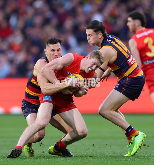 AFL 2025 Round 19 - Adelaide v Gold Coast - A-60674384