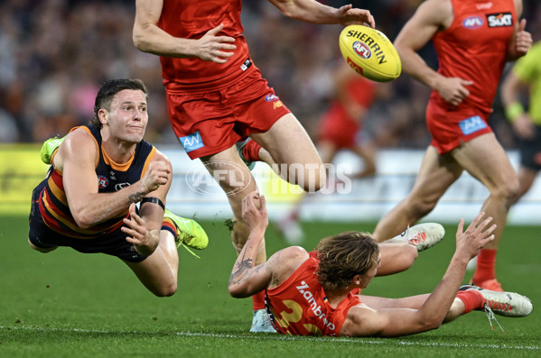 AFL 2025 Round 19 - Adelaide v Gold Coast - A-60676787
