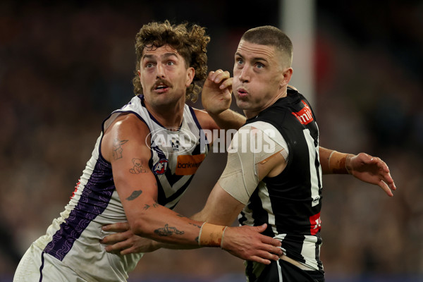 AFL 2025 Round 19 - Collingwood v Fremantle - A-60676863