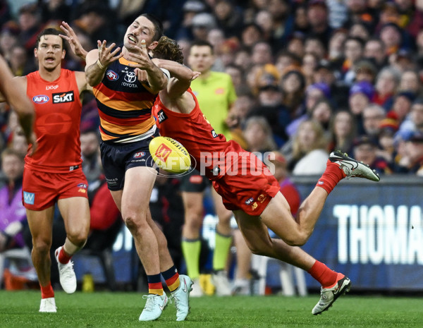 AFL 2025 Round 19 - Adelaide v Gold Coast - A-60676877