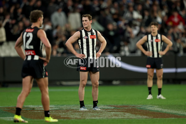 AFL 2025 Round 19 - Collingwood v Fremantle - A-60676882
