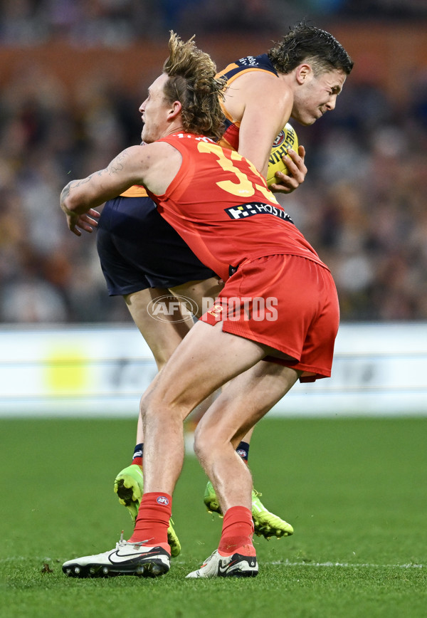 AFL 2025 Round 19 - Adelaide v Gold Coast - A-60676888