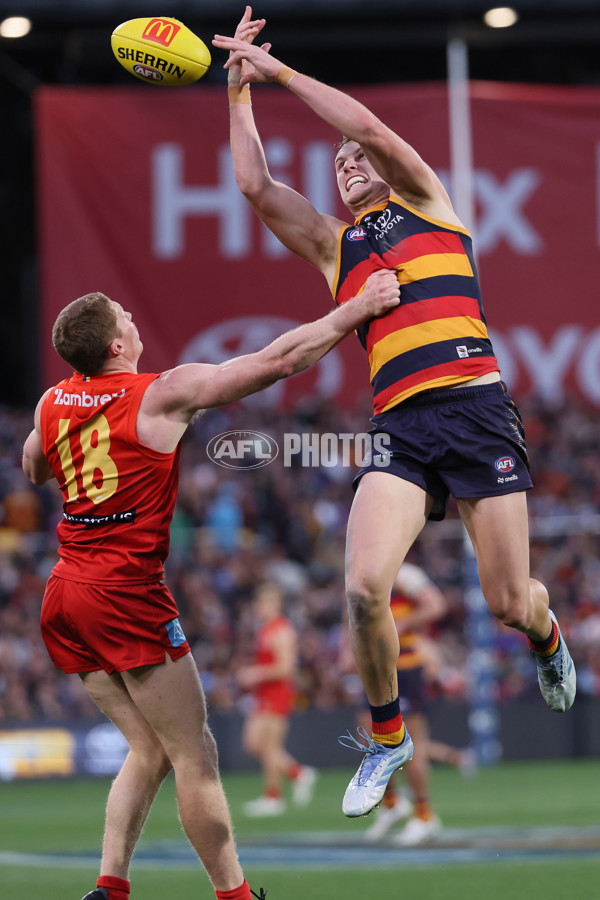 AFL 2025 Round 19 - Adelaide v Gold Coast - A-60676897