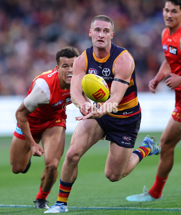 AFL 2025 Round 19 - Adelaide v Gold Coast - A-60678991