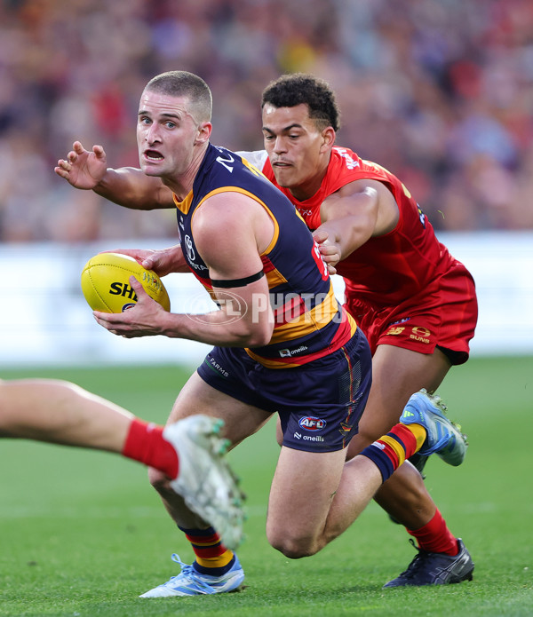 AFL 2025 Round 19 - Adelaide v Gold Coast - A-60679014
