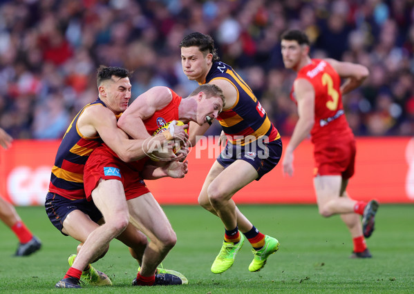 AFL 2025 Round 19 - Adelaide v Gold Coast - A-60679054