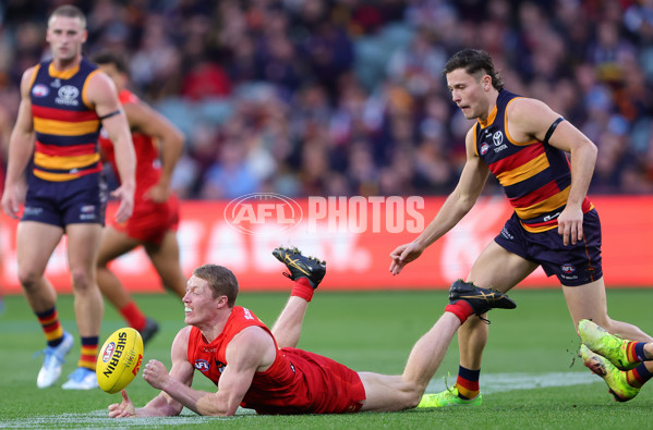 AFL 2025 Round 19 - Adelaide v Gold Coast - A-60679835
