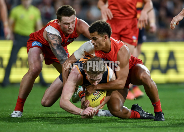 AFL 2025 Round 19 - Adelaide v Gold Coast - A-60679836