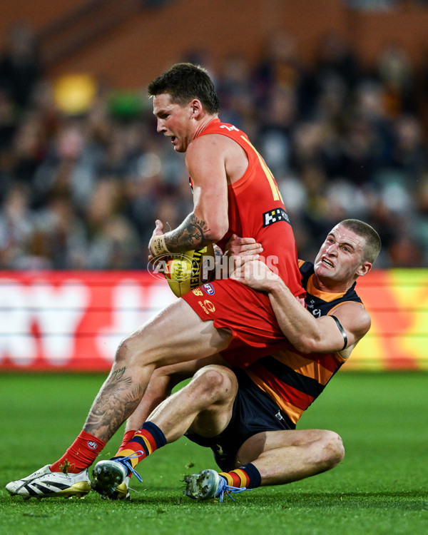 AFL 2025 Round 19 - Adelaide v Gold Coast - A-60681716