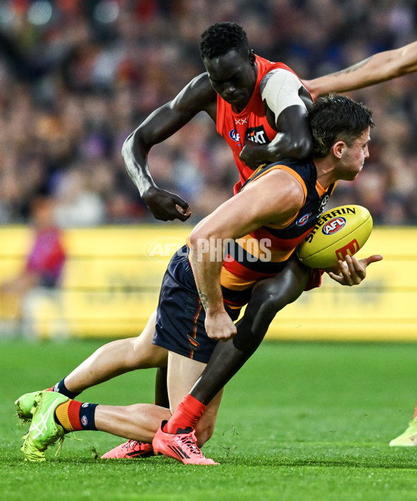 AFL 2025 Round 19 - Adelaide v Gold Coast - A-60681729