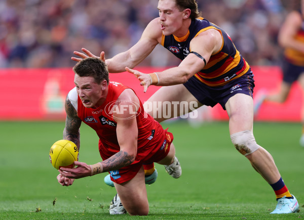 AFL 2025 Round 19 - Adelaide v Gold Coast - A-60681741