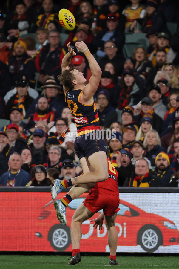AFL 2025 Round 19 - Adelaide v Gold Coast - A-60681792