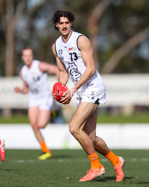 VFL 2025 Round 17 - Casey Demons v Carlton - A-60681806