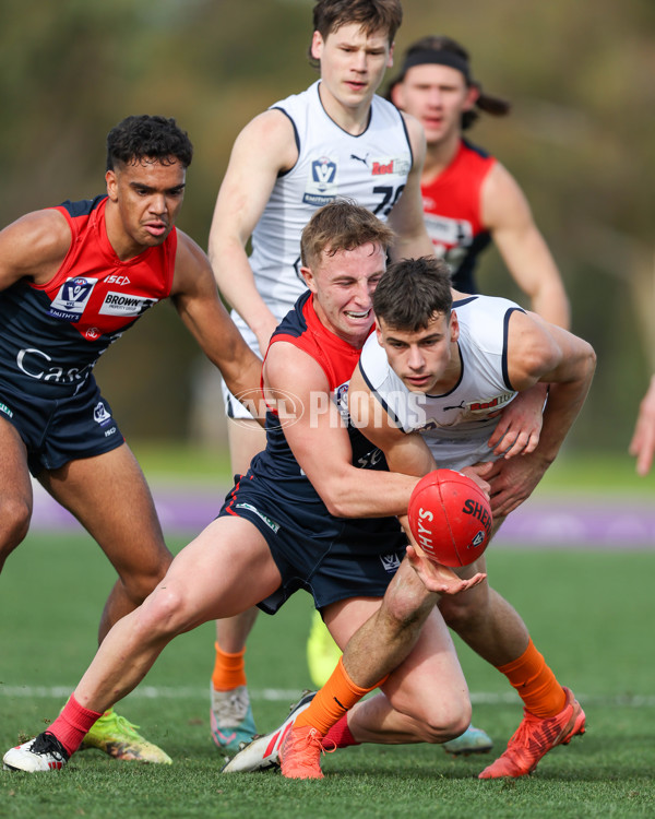 VFL 2025 Round 17 - Casey Demons v Carlton - A-60681808