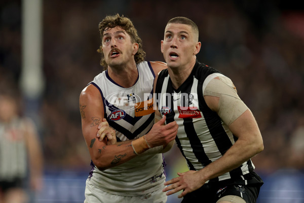 AFL 2025 Round 19 - Collingwood v Fremantle - A-60682316