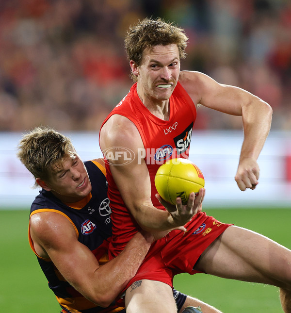 AFL 2025 Round 19 - Adelaide v Gold Coast - A-60682359