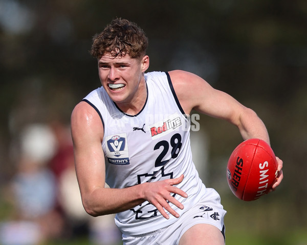 VFL 2025 Round 17 - Casey Demons v Carlton - A-60684437