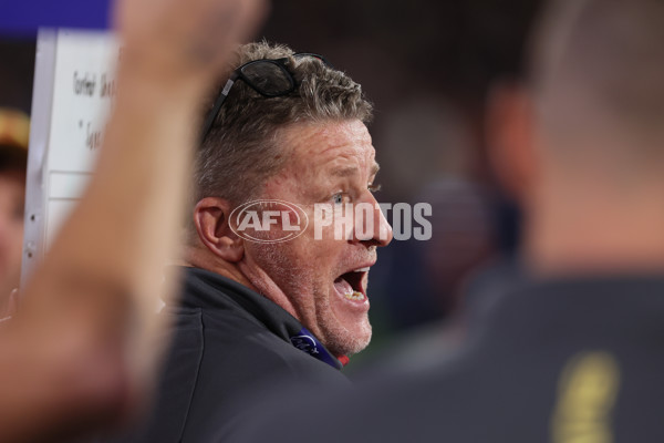 AFL 2025 Round 19 - Adelaide v Gold Coast - A-60684454