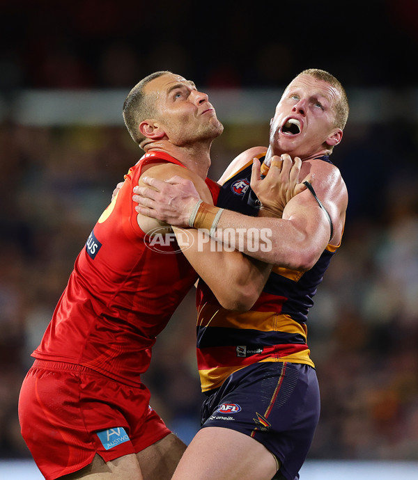 AFL 2025 Round 19 - Adelaide v Gold Coast - A-60684465