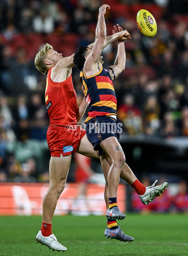 AFL 2025 Round 19 - Adelaide v Gold Coast - A-60684466