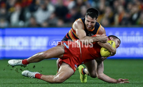 AFL 2025 Round 19 - Adelaide v Gold Coast - A-60686993