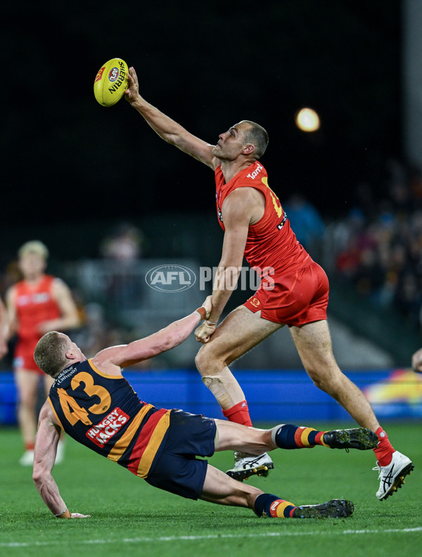 AFL 2025 Round 19 - Adelaide v Gold Coast - A-60687001