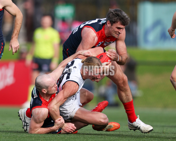 VFL 2025 Round 17 - Casey Demons v Carlton - A-60687015