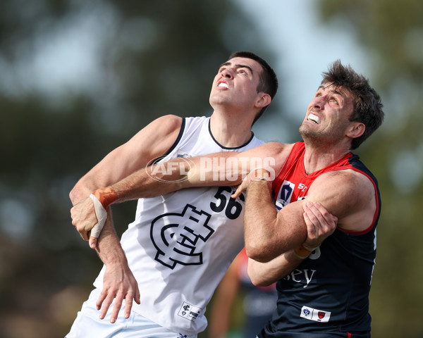 VFL 2025 Round 17 - Casey Demons v Carlton - A-60687021