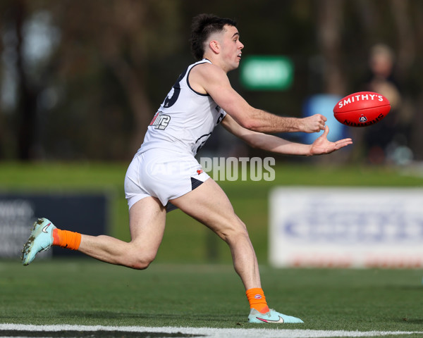 VFL 2025 Round 17 - Casey Demons v Carlton - A-60687023