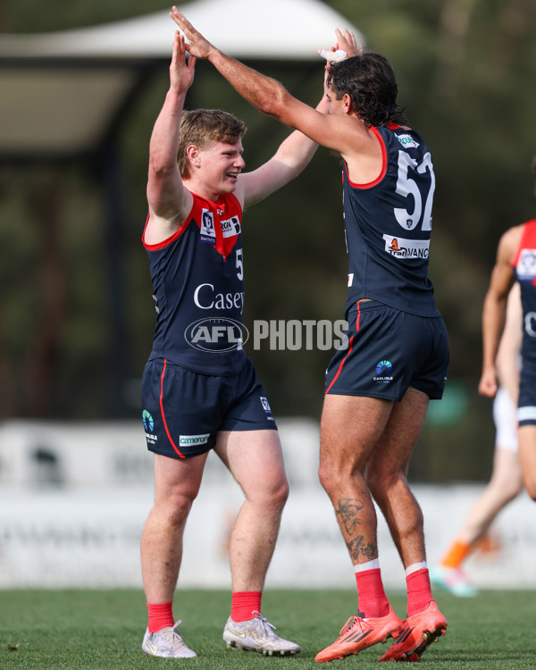 VFL 2025 Round 17 - Casey Demons v Carlton - A-60687031