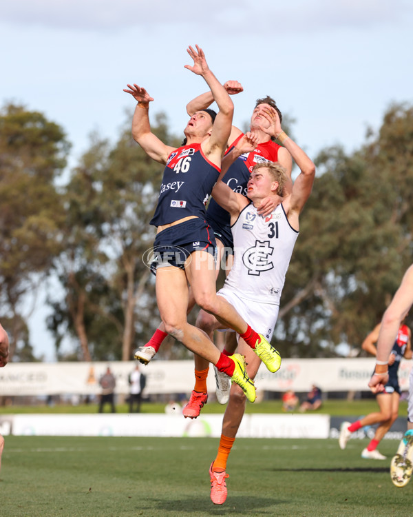 VFL 2025 Round 17 - Casey Demons v Carlton - A-60687032
