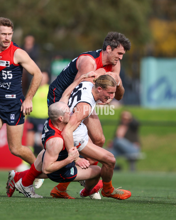 VFL 2025 Round 17 - Casey Demons v Carlton - A-60687041
