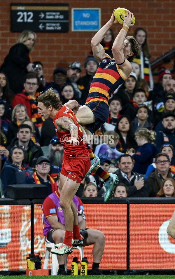 AFL 2025 Round 19 - Adelaide v Gold Coast - A-60687050