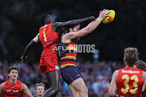 AFL 2025 Round 19 - Adelaide v Gold Coast - A-60687468