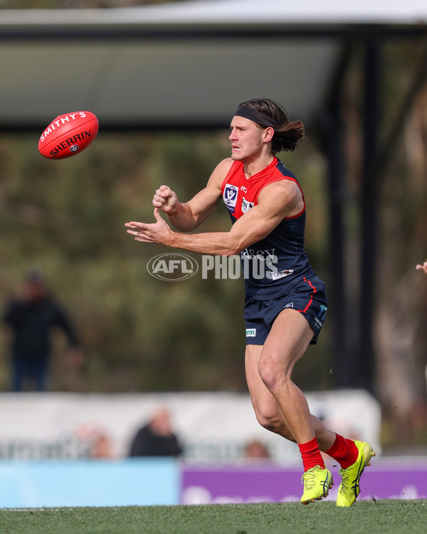VFL 2025 Round 17 - Casey Demons v Carlton - A-60687492