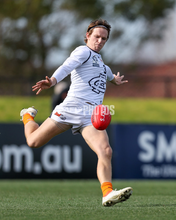 VFL 2025 Round 17 - Casey Demons v Carlton - A-60687499