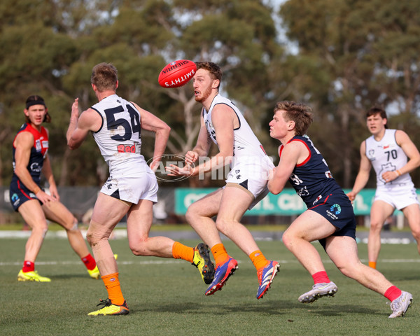 VFL 2025 Round 17 - Casey Demons v Carlton - A-60687500