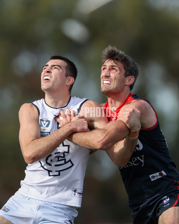 VFL 2025 Round 17 - Casey Demons v Carlton - A-60687501