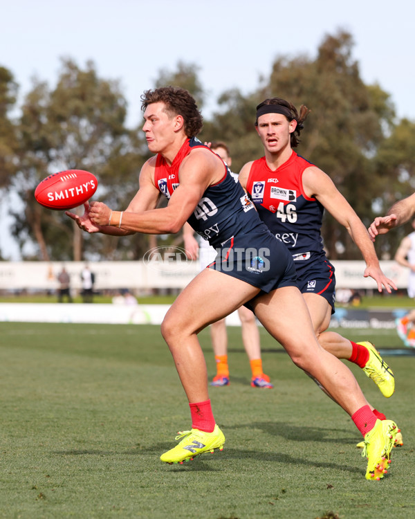 VFL 2025 Round 17 - Casey Demons v Carlton - A-60687503
