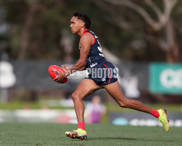 VFL 2025 Round 17 - Casey Demons v Carlton - A-60687508