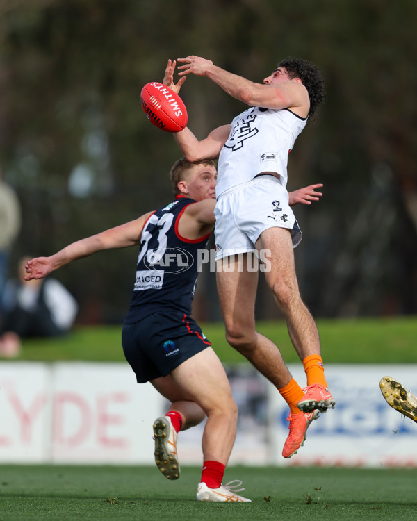 VFL 2025 Round 17 - Casey Demons v Carlton - A-60687519