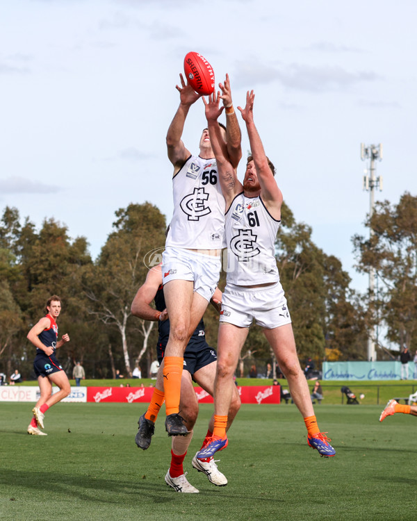 VFL 2025 Round 17 - Casey Demons v Carlton - A-60687537