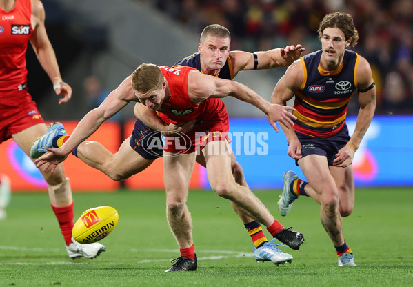 AFL 2025 Round 19 - Adelaide v Gold Coast - A-60687564