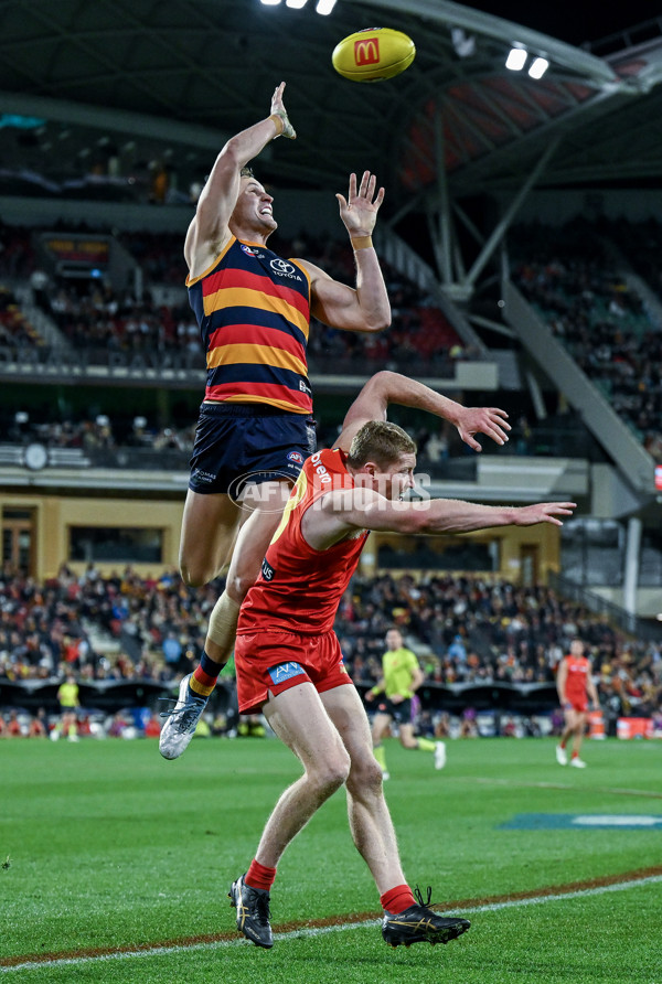 AFL 2025 Round 19 - Adelaide v Gold Coast - A-60689396