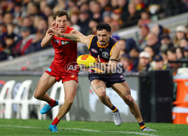 AFL 2025 Round 19 - Adelaide v Gold Coast - A-60689400